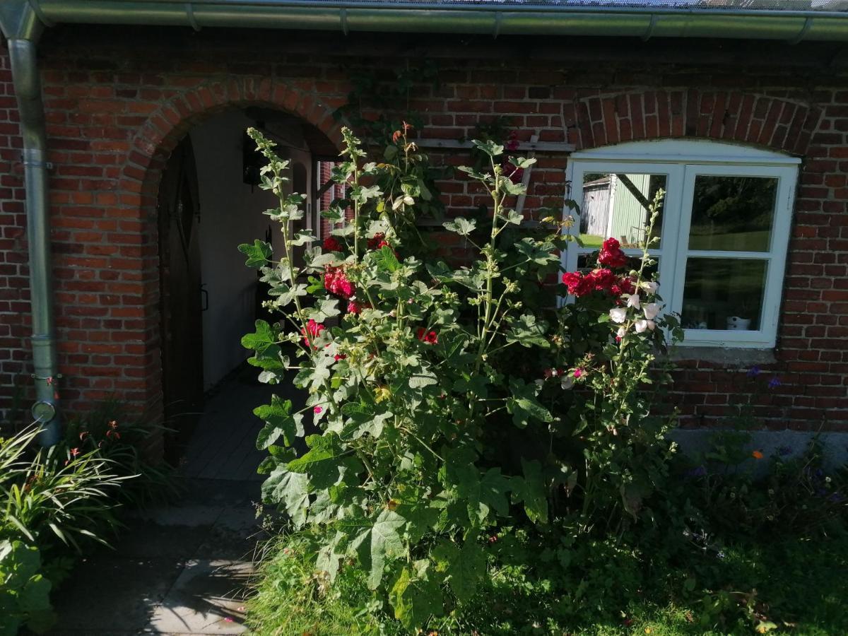Fw Achterdeck, 1 Obergeschoss, Petershof-Lehbek Apartman Gelting Kültér fotó